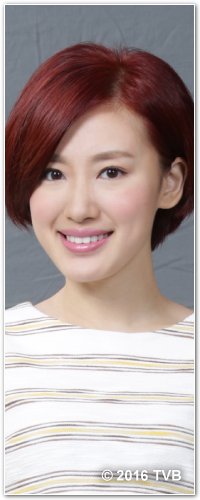 TVB 新劇推介—《警犬巴打》