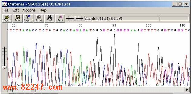 Chromas 使用说明