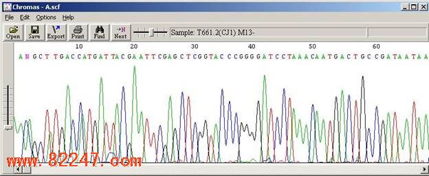 Chromas 使用说明