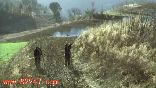 盲山：女大学生被拐深山后被糟蹋 场面脸红