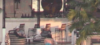 知名女星白百何出轨视频 知名女星白百何出轨视频