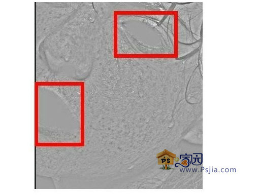 PS 实例教程: 计算通道给人像祛斑和磨皮 PS 实例教程: 计算通道给人像祛斑和磨皮
